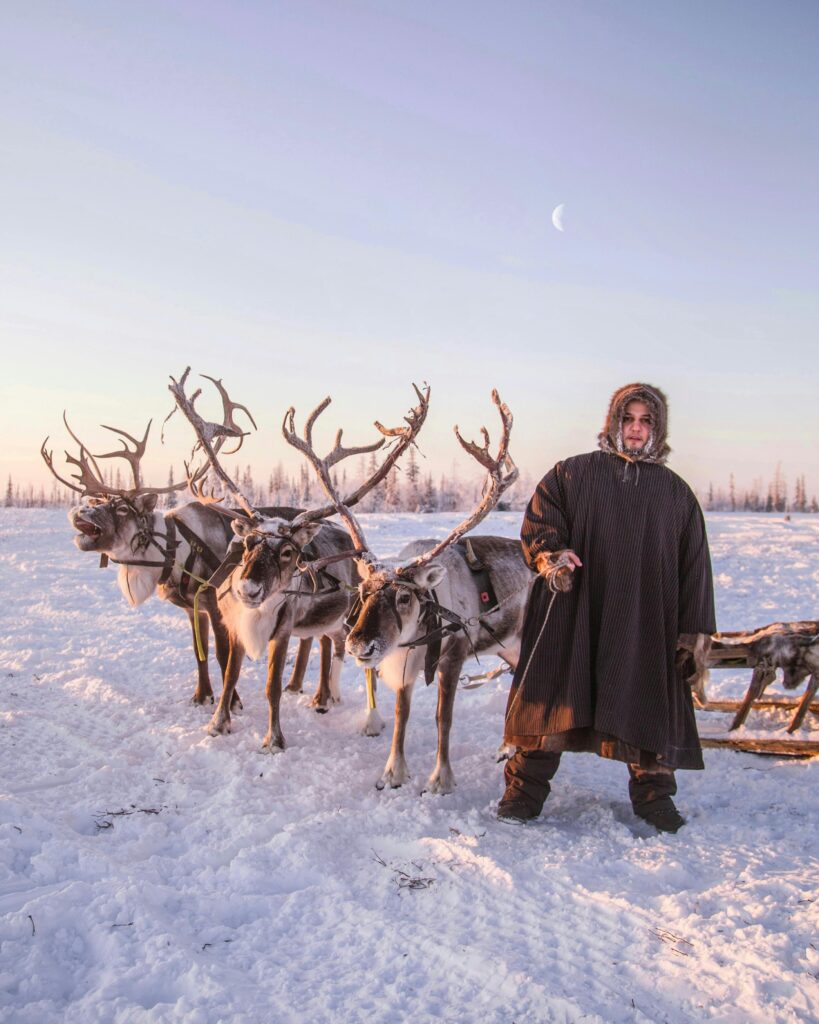 local sami guy with reindeer