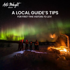 Northern Lights tour