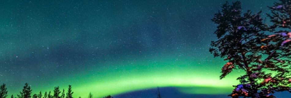 Tours Levi Experience the Magic of Lapland with Experts