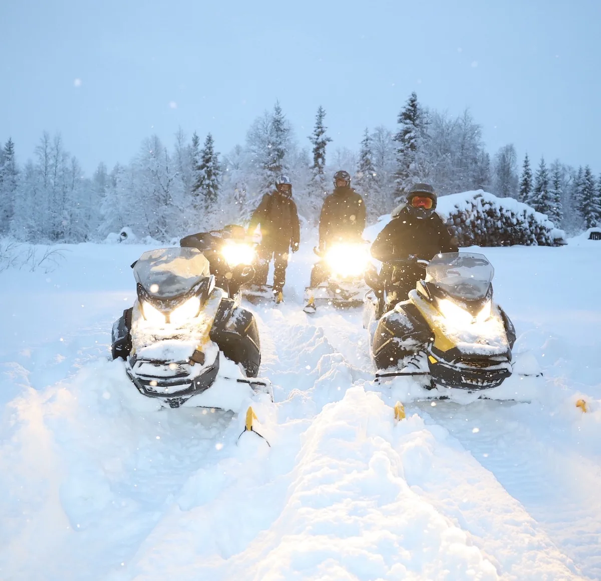 Small group with snowmobiles in a snowy forest.